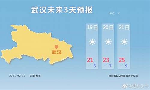 武汉天气预报查询一周15天_武汉天气预报查询一周15天天气预报