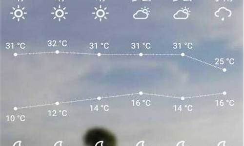 叶城天气预报一周7天查询_叶城天气预报查询一周15天