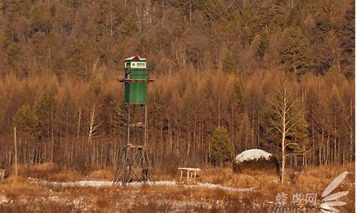 漠河北极村气温多少度_漠河北极村