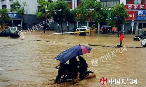 明天有大暴雨今天适合钓什么鱼_明天有大暴雨