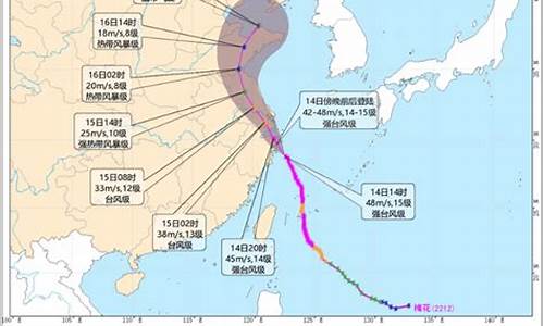 浙江台风实时发布路径_浙江台风实时发布路径图